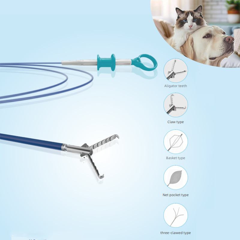 Veterinary Foreign Body Forceps