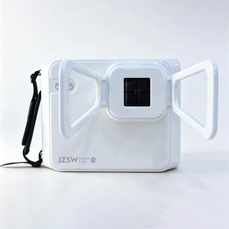 Veterinary Digital Radiography